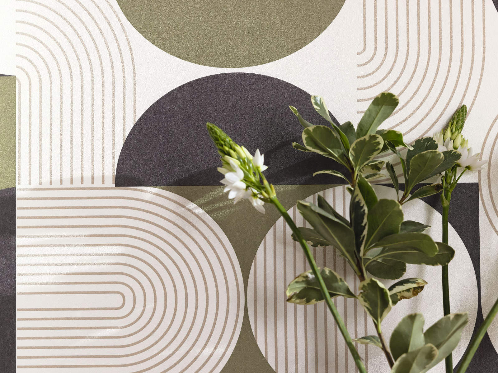 Caselio Graphic Amplitude - 105500722
