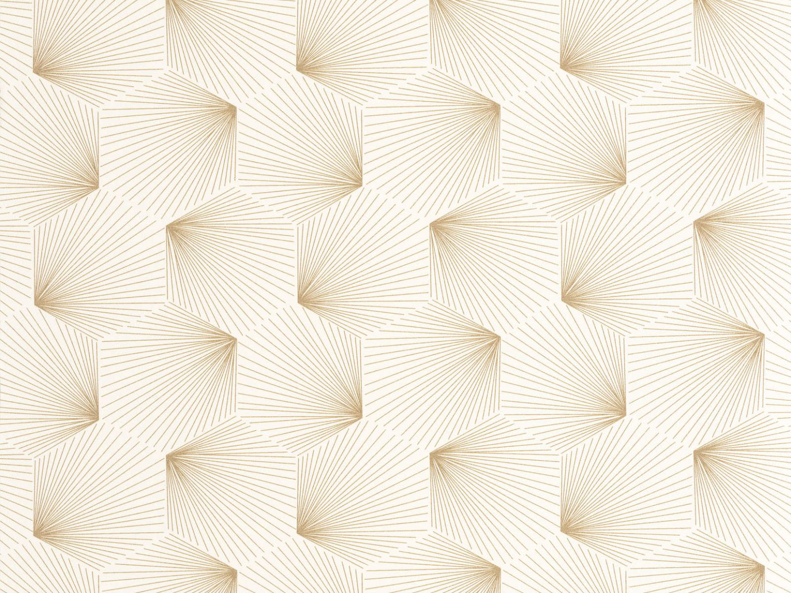 Caselio Graphic Filament - 105520135
