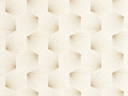Caselio Graphic Filament - 105520135