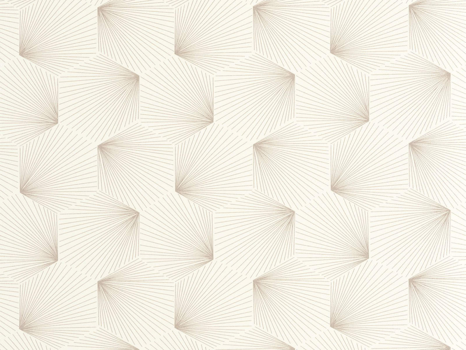 Caselio Graphic Filament - 105520945
