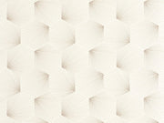 Caselio Graphic Filament - 105520945