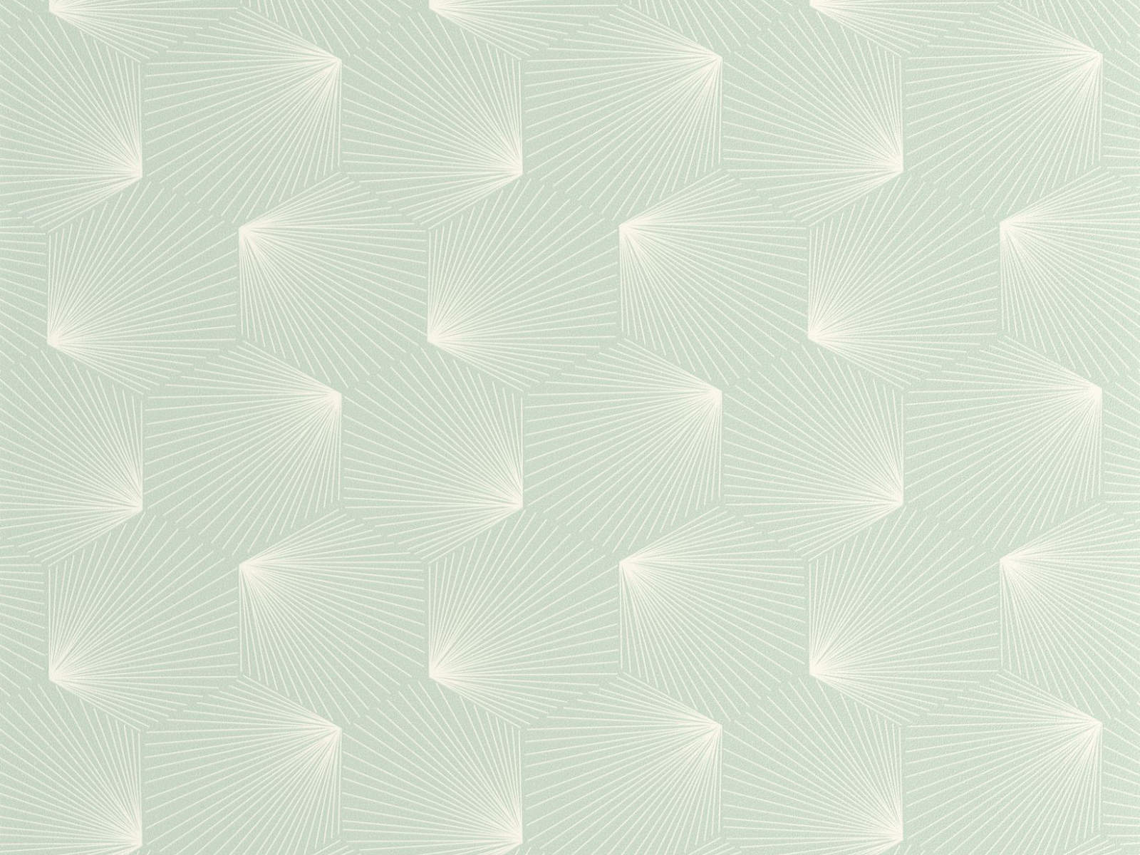 Caselio Graphic Filament - 105527025