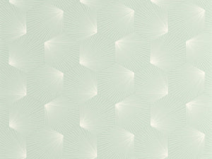 Caselio Graphic Filament - 105527025