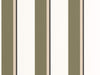 Caselio Graphic Linear - 105530753