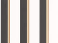 Caselio Graphic Linear - 105530941
