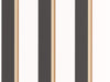 Caselio Graphic Linear - 105530941