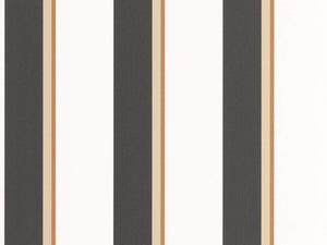 Caselio Graphic Linear - 105530941