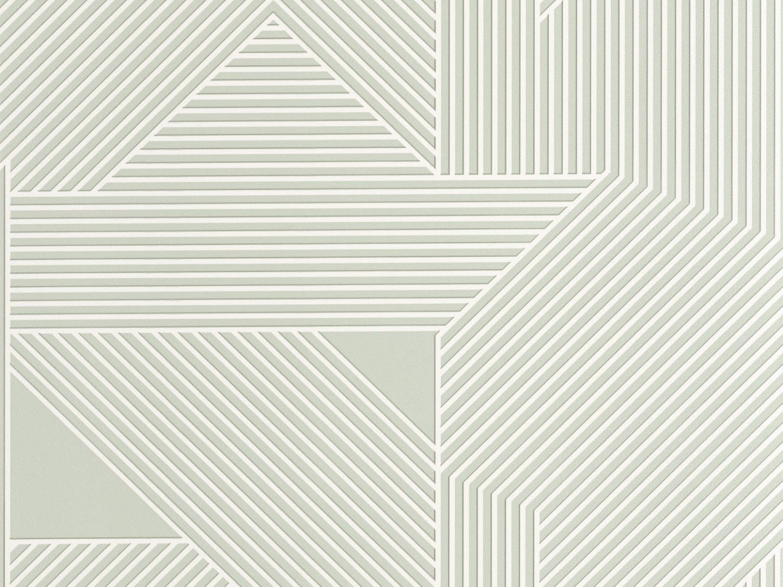 Caselio Graphic Movement - 105547040