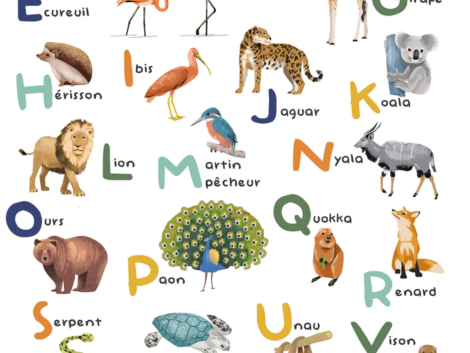 Caselio Les Mini Mondes Apprenons l'Alphabet M - 105672303