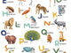 Caselio Les Mini Mondes Apprenons l'Alphabet M - 105672303