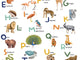 Caselio Les Mini Mondes Apprenons l'Alphabet S - 105672305
