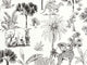 Caselio Les Mini Mondes Balade dans la Savane - 105739090