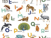 Caselio Les Mini Mondes Let's Learn the Alphabet M - 105857003