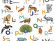 Caselio Les Mini Mondes Let's Learn the Alphabet M - 105857003