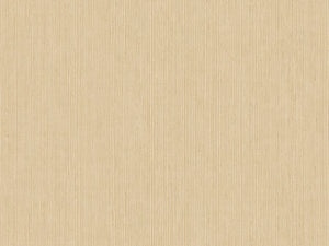 Caselio Borneo Unis - 106011245