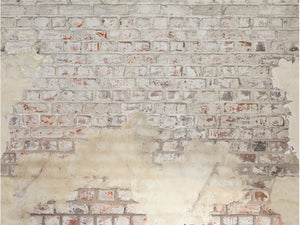 Caselio Kitchen Box Brickwall M - 106251026