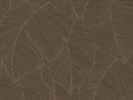 Caselio Borneo Vegetalia - 106509027