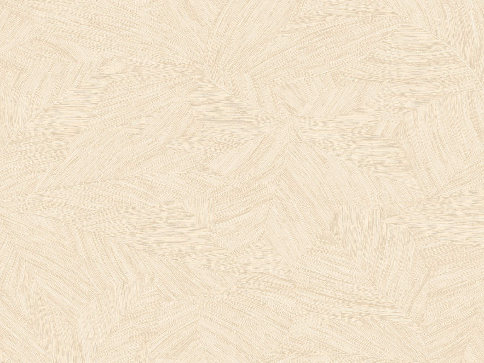 Caselio Borneo Archipel - 106510000