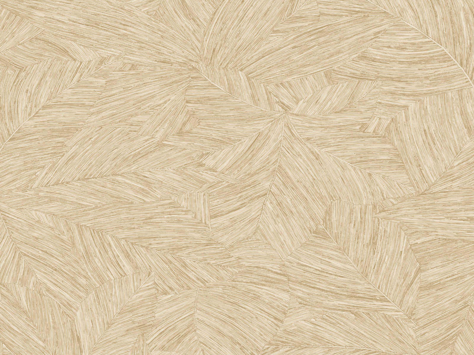 Caselio Borneo Archipel - 106511010