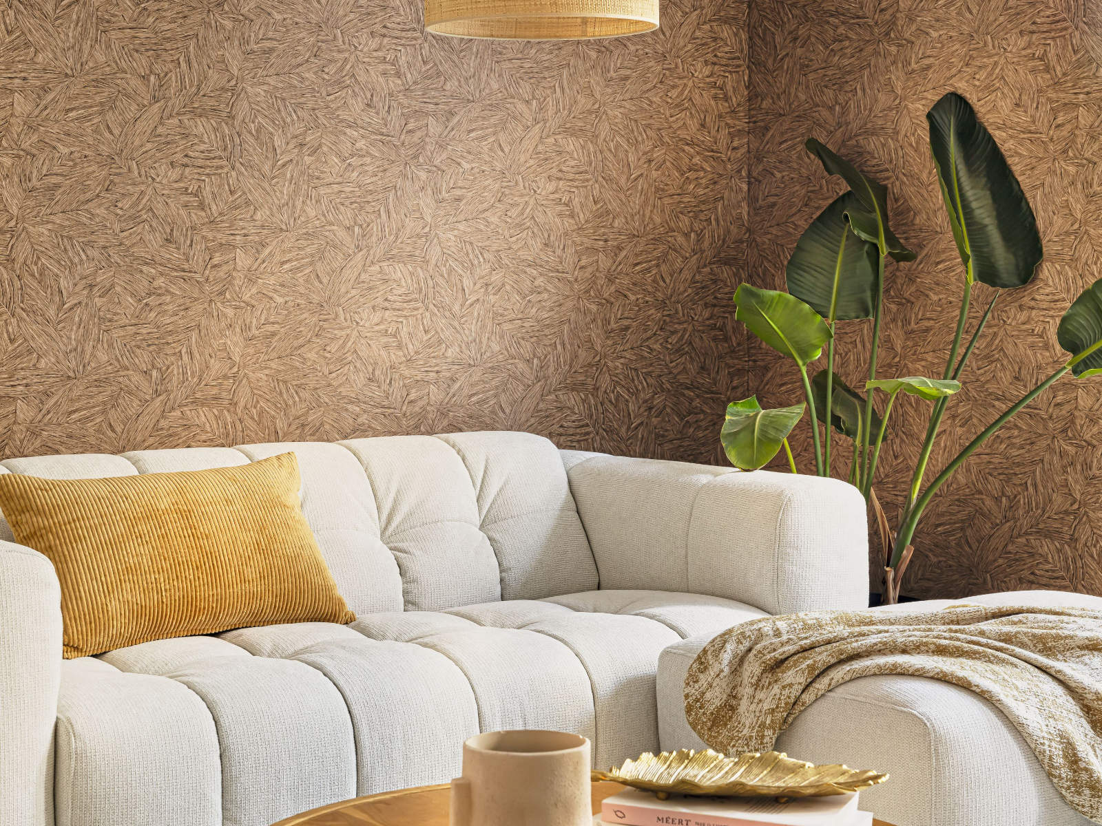 Caselio Borneo Archipel - 106512155
