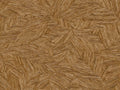 Caselio Borneo Archipel - 106512155
