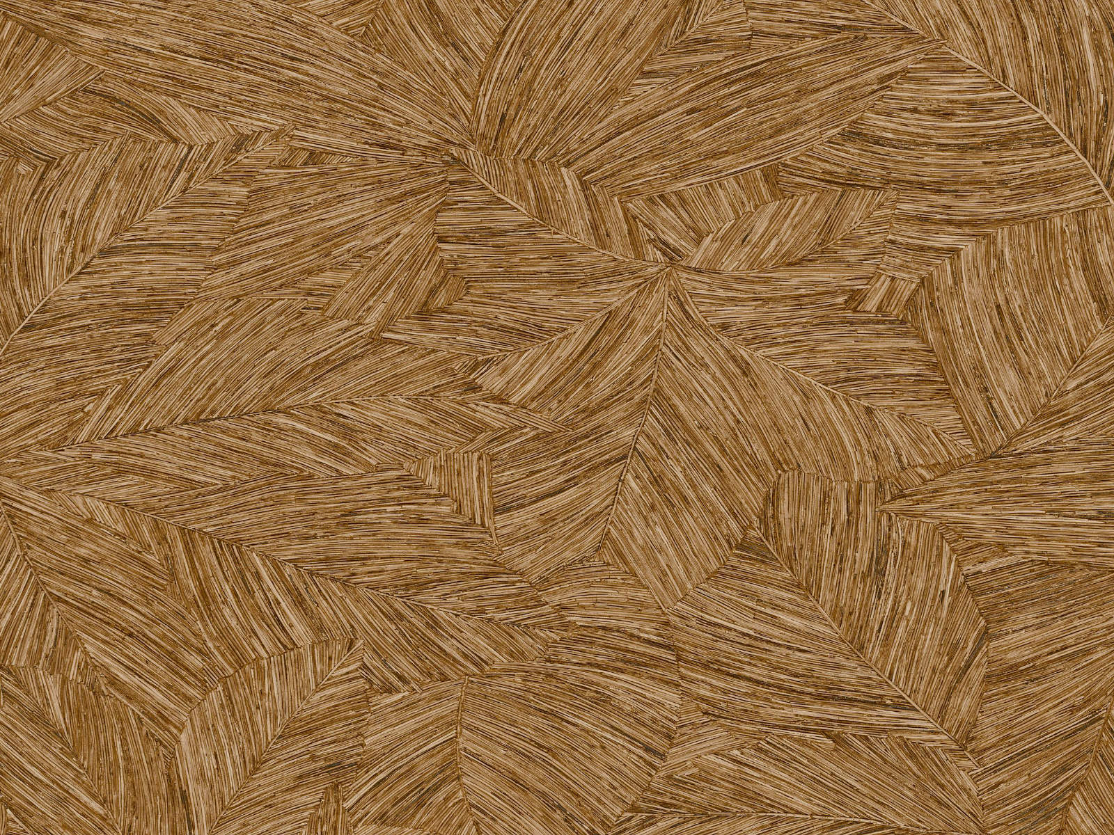 Caselio Borneo Archipel - 106512155