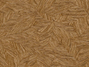 Caselio Borneo Archipel - 106512155
