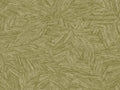 Caselio Borneo Archipel - 106517187