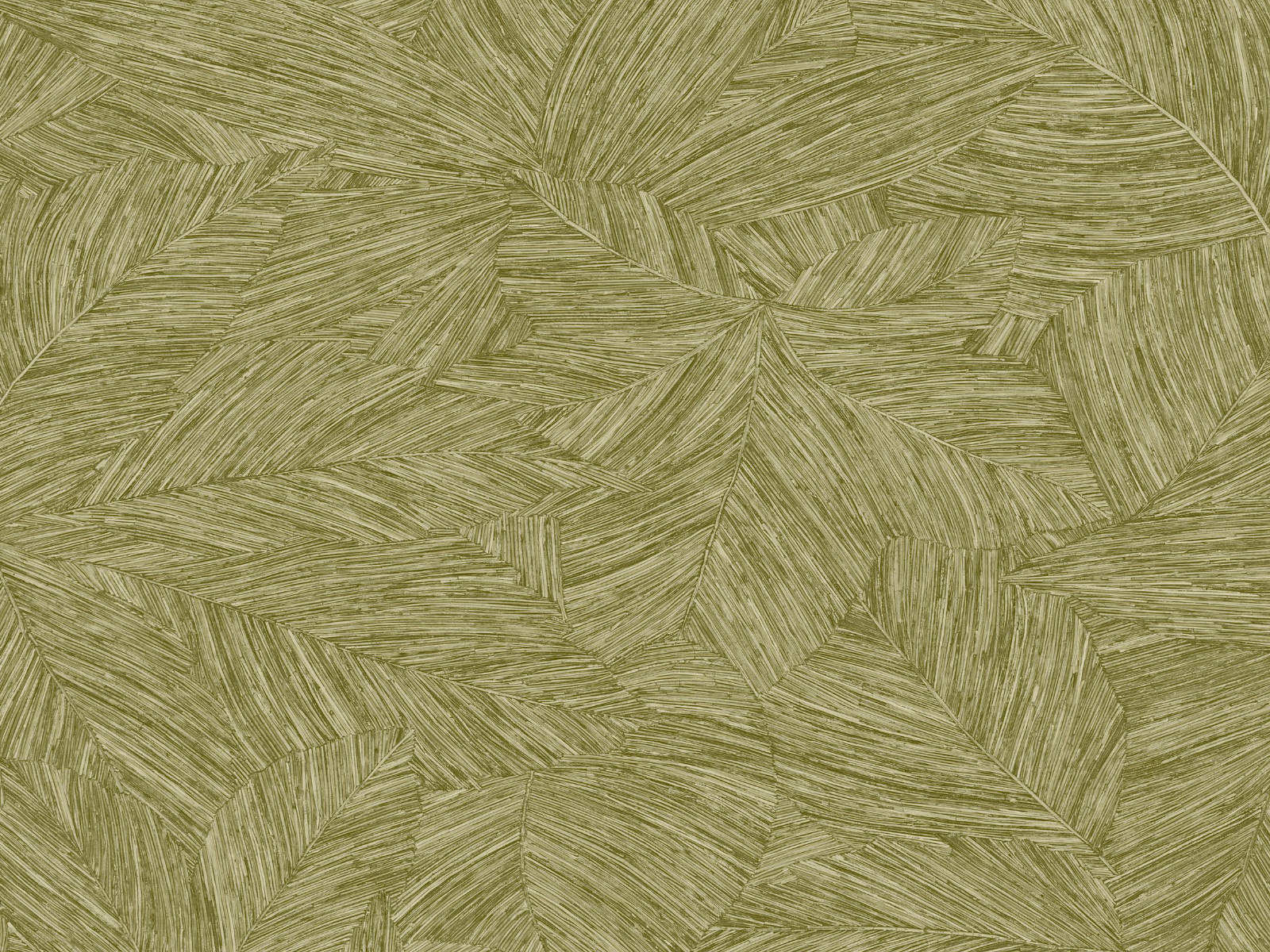 Caselio Borneo Archipel - 106517187