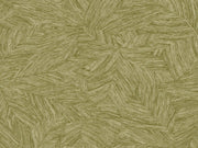 Caselio Borneo Archipel - 106517187