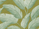 Caselio Borneo Tropicalia - 106547122