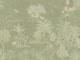 Caselio Borneo Timor Vert M - 106554001