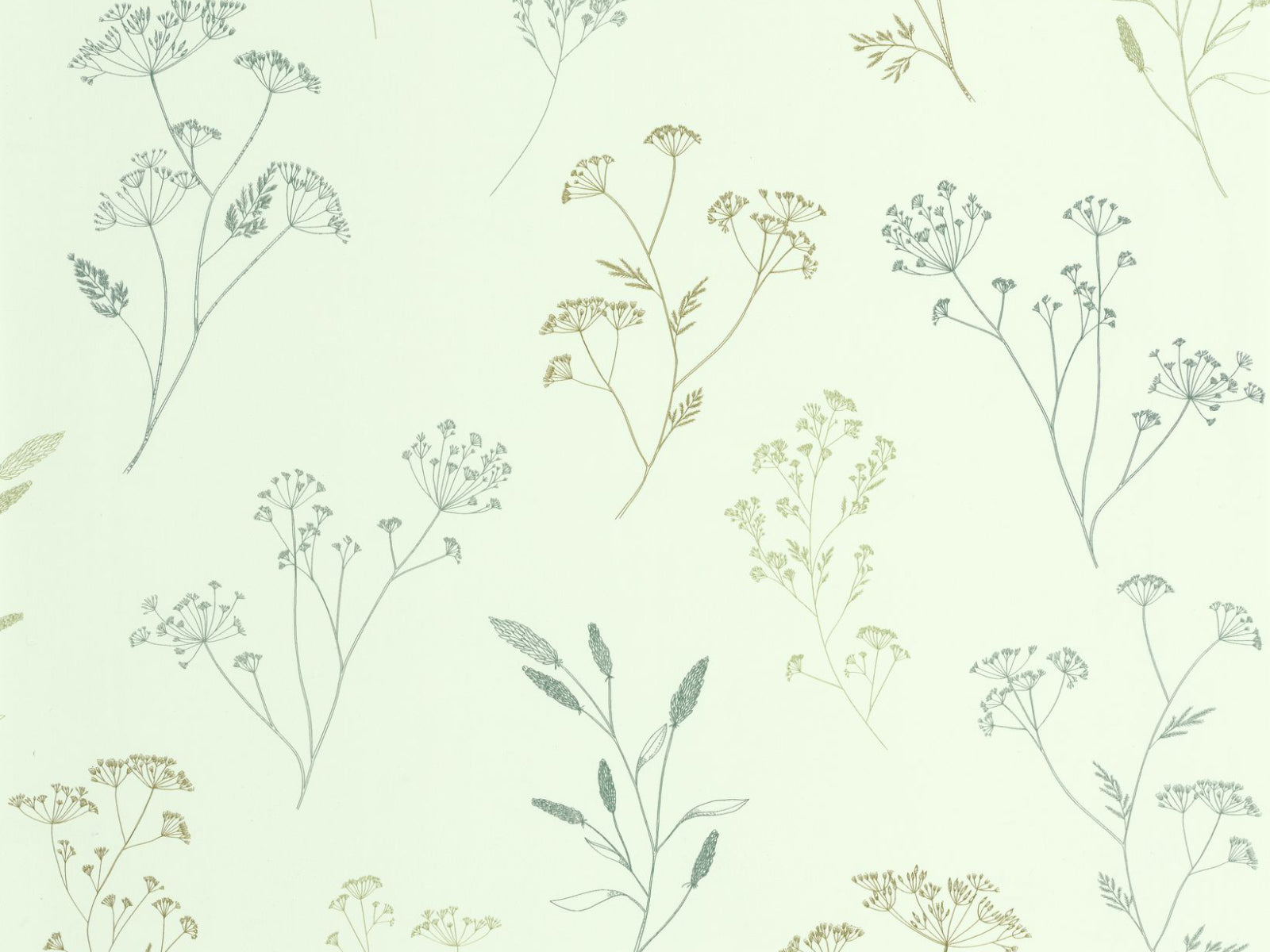 Caselio Kitchen Box Little Graminea - 106687158