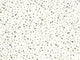Caselio Kitchen Box Granito - 106890772