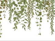 Caselio Kitchen Box Green Waterfalls - 106950723