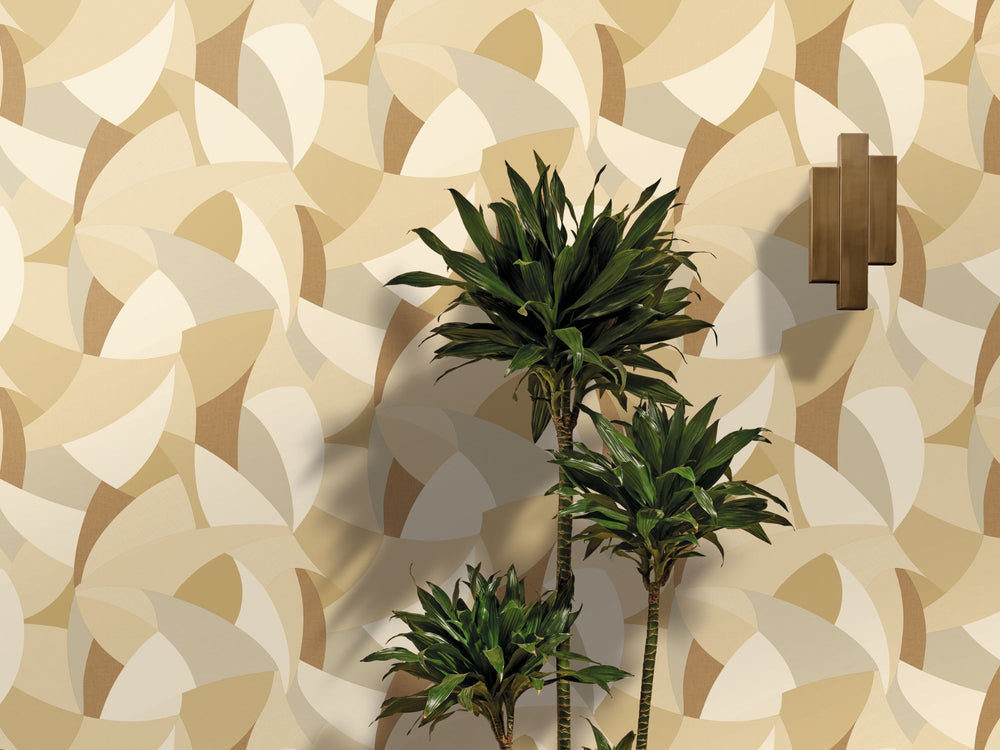 Caselio Symphony Concerto - 107000199