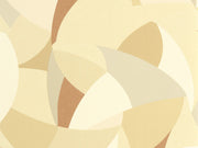 Caselio Symphony Concerto - 107000199