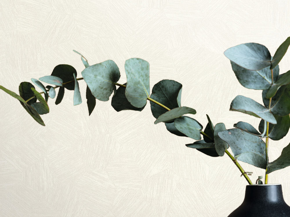 Caselio Symphony Fragments - 107010062