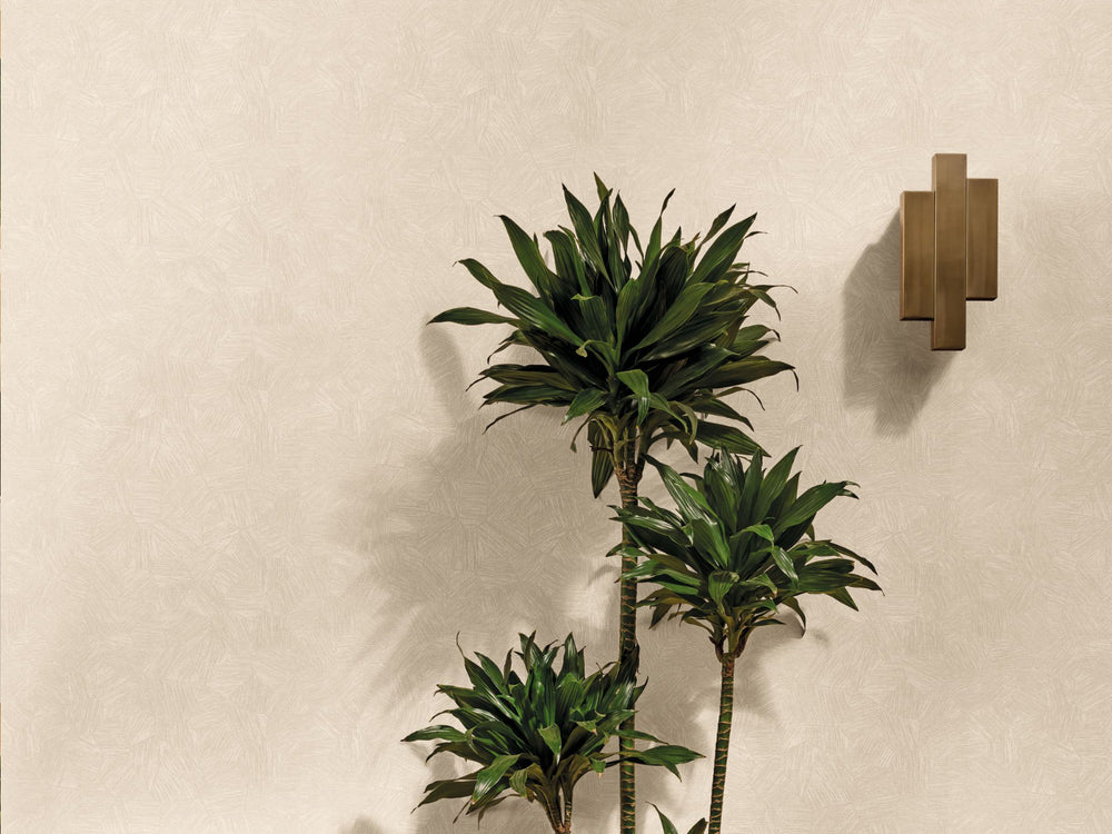 Caselio Symphony Fragments - 107011141