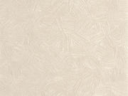 Caselio Symphony Fragments - 107011141