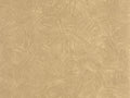 Caselio Symphony Fragments - 107012128