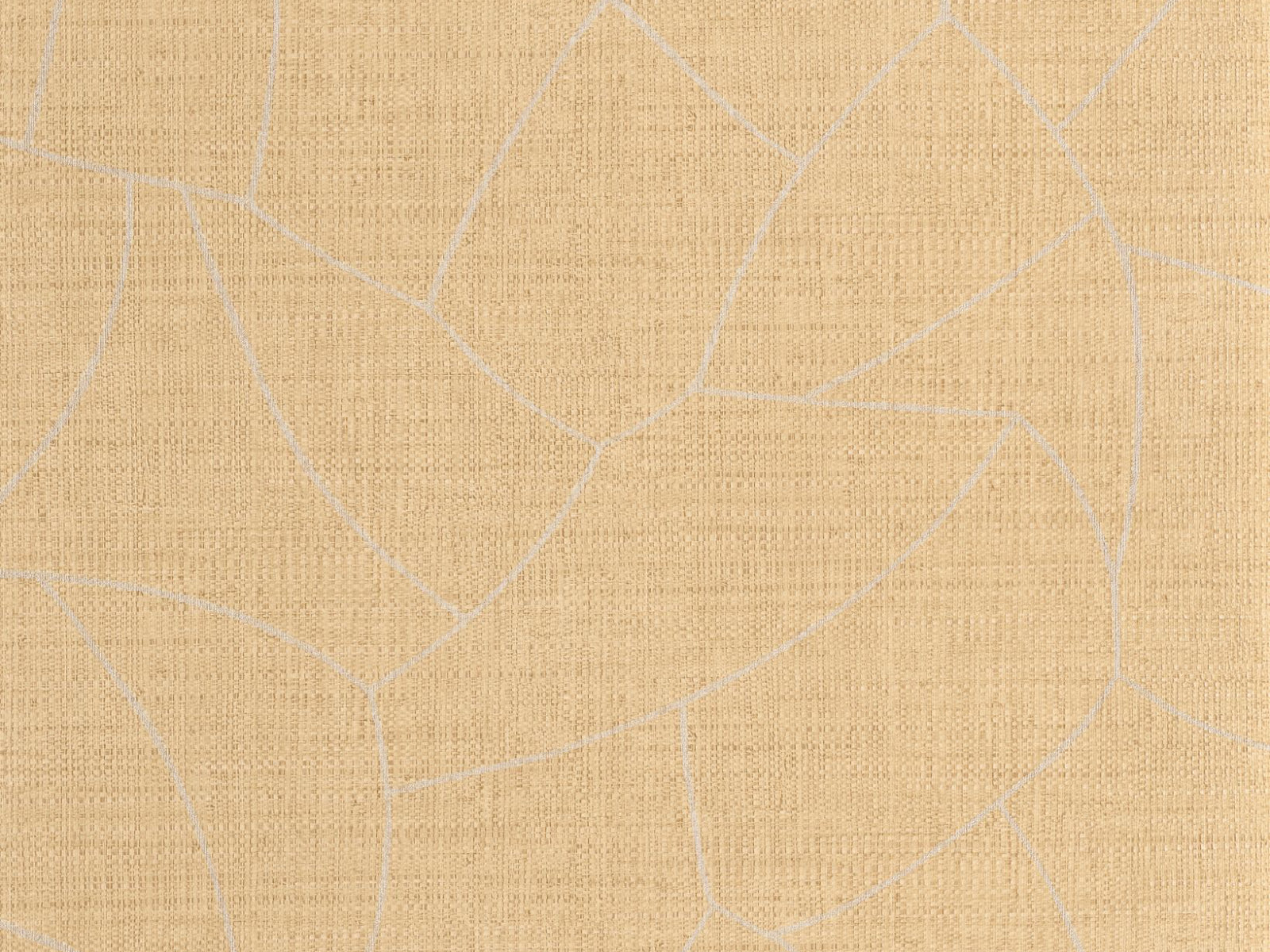 Caselio Symphony Melody - 107022034