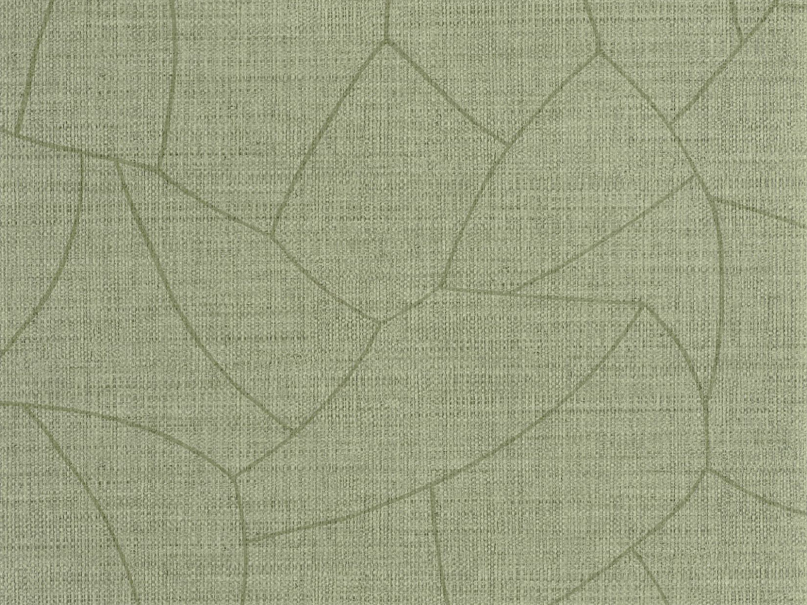 Caselio Symphony Melody - 107027745