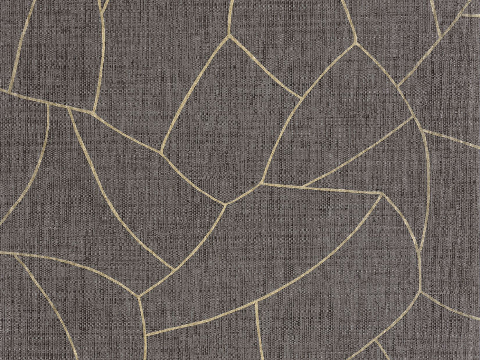 Caselio Symphony Melody - 107029004