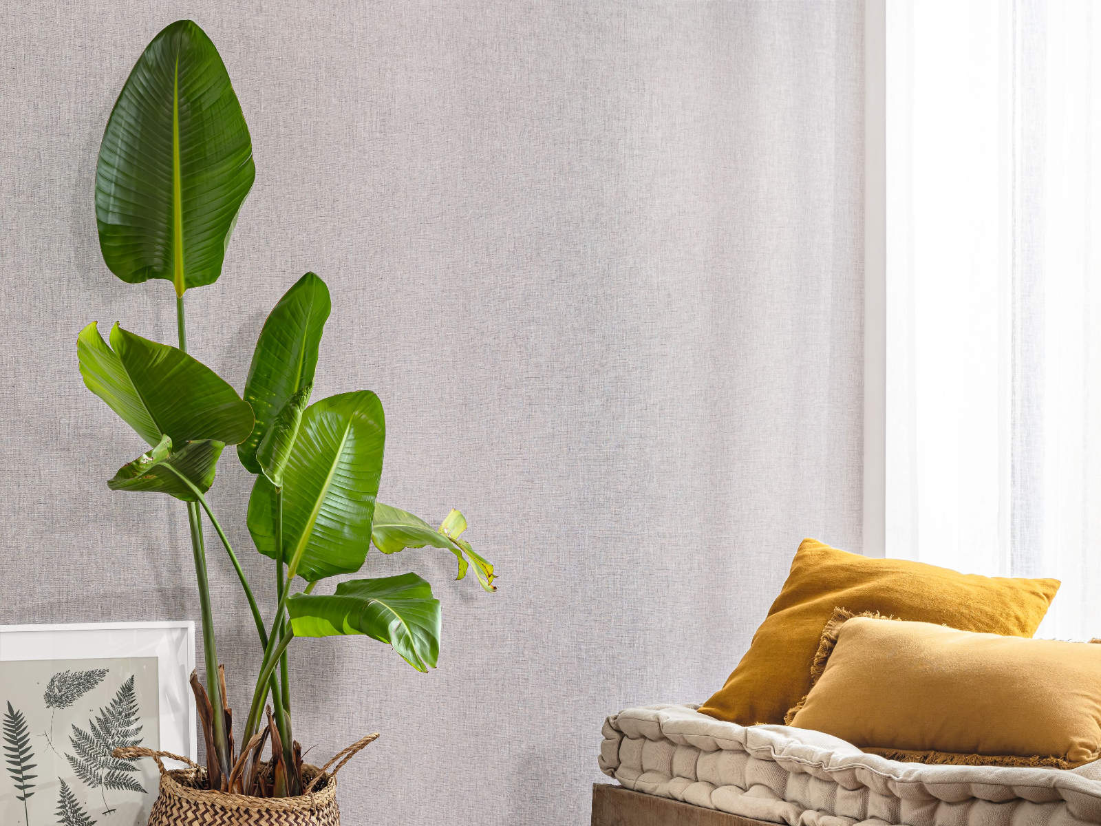 Caselio Color Box 3 Linen - 3103229899