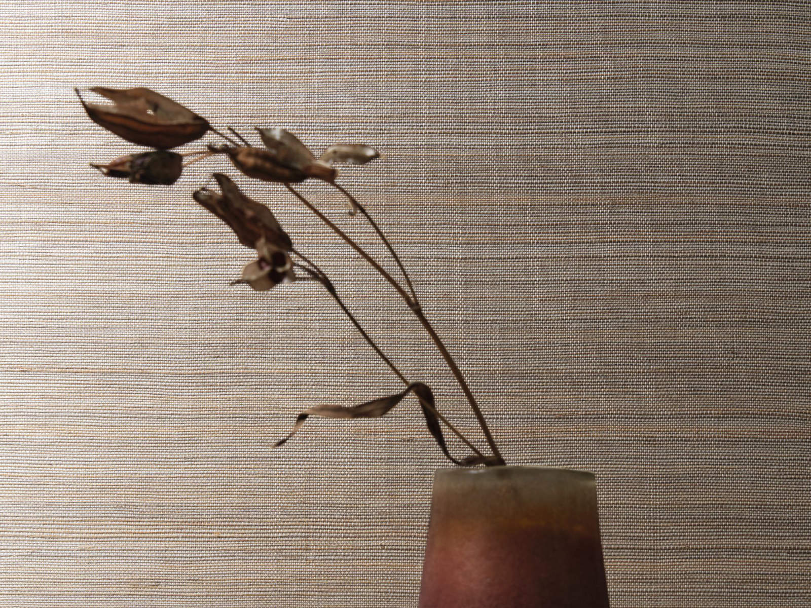 Casamance Sisalana Pencil - A70160352