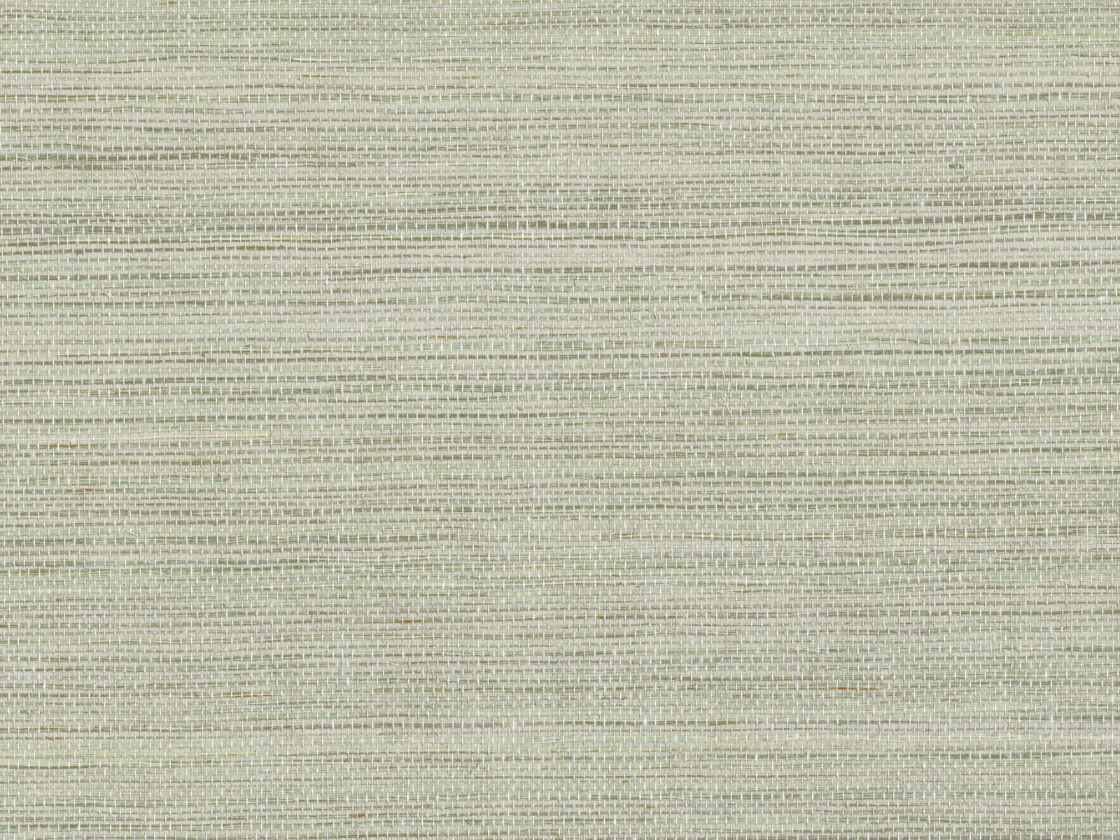Casamance Sisalana Pencil - A70162058