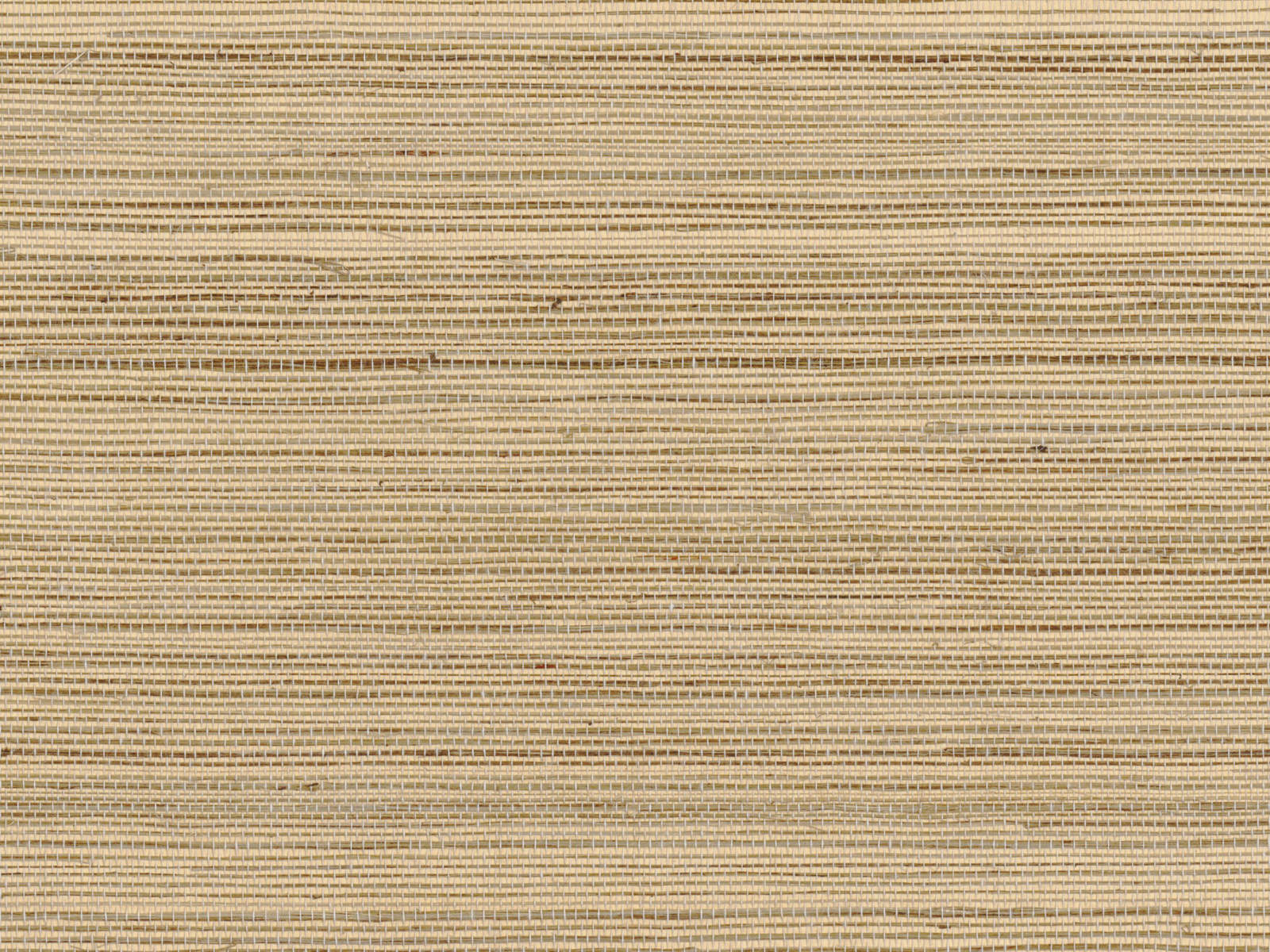 Casamance Sisalana Pencil - A70163224