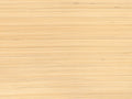 Casamance Alternative Bambou - 70832466
