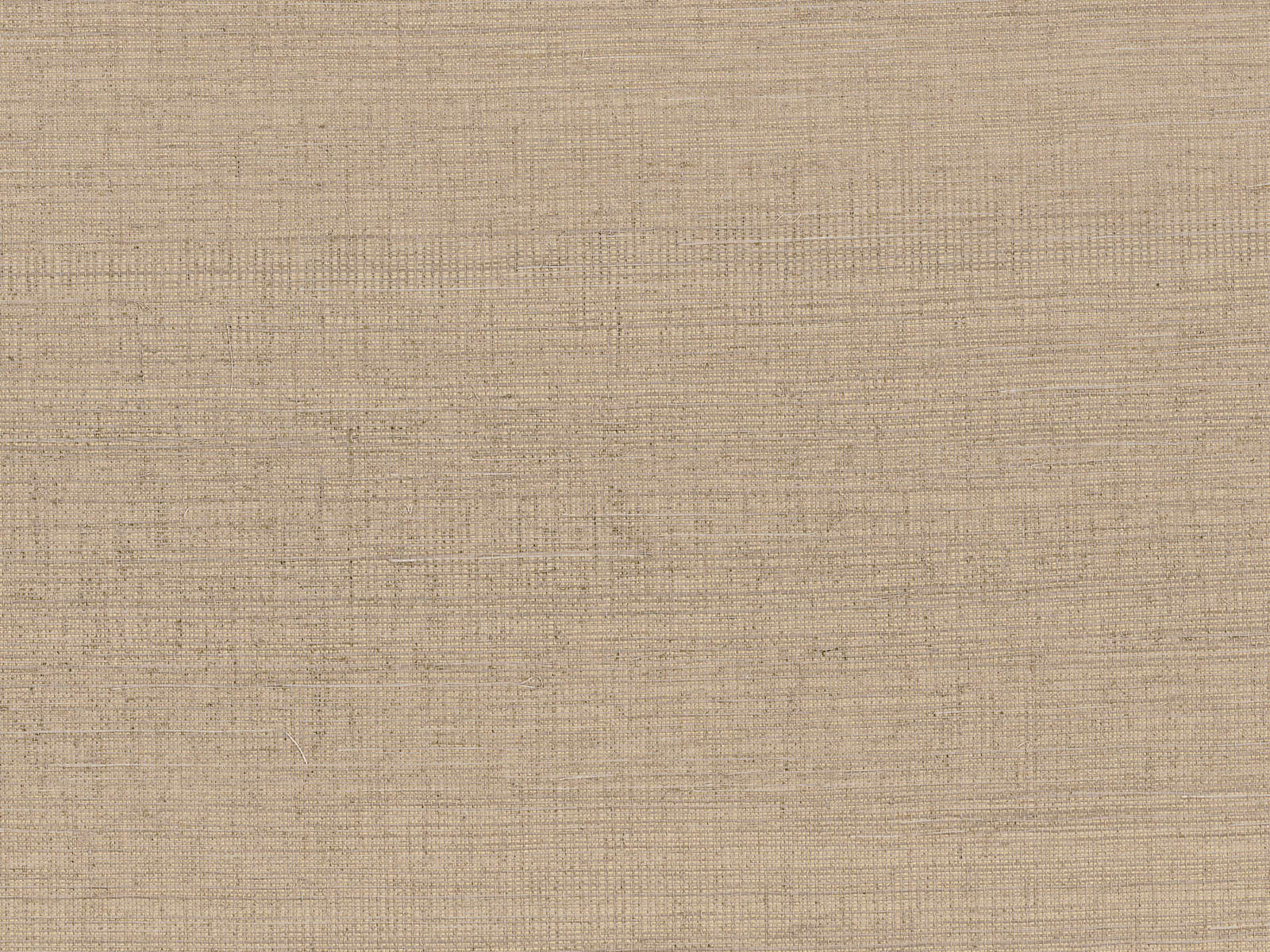 Casamance Sisalana Deserti - 70853252